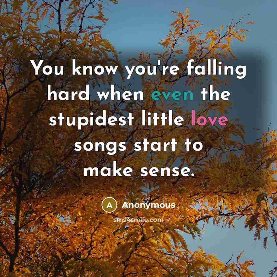 “You know you're falling hard when even the stupidest little love songs start to make sense.” quote by Anonymous