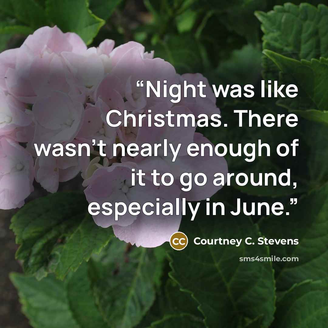 “Night was like Christmas. There wasn't nearly enough of it to go around, especially in June.” quote by Courtney C. Stevens