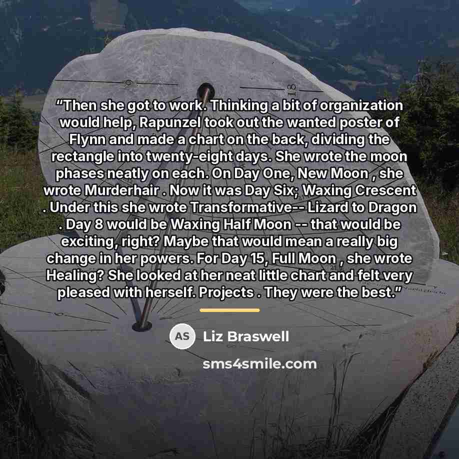 “Then she got to work. Thinking a bit of organization would help, Rapunzel took out the wanted poster of Flynn and made a chart on the back, dividing the rectangle into twenty-eight days. She wrote the moon phases neatly on each. On Day One, New Moon , she wrote Murderhair . Now it was Day Six…” quote by Liz Braswell