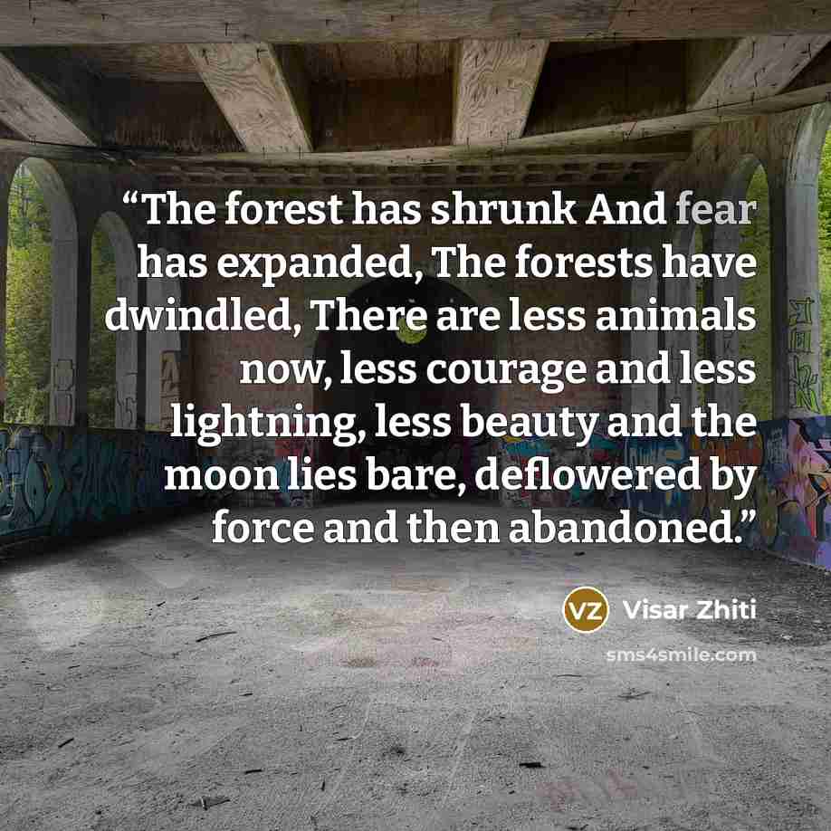 “The forest has shrunk And fear has expanded, The forests have dwindled, There are less animals now, less courage and less lightning, less beauty and the moon lies bare, deflowered by force and then abandoned.” quote by Visar Zhiti
