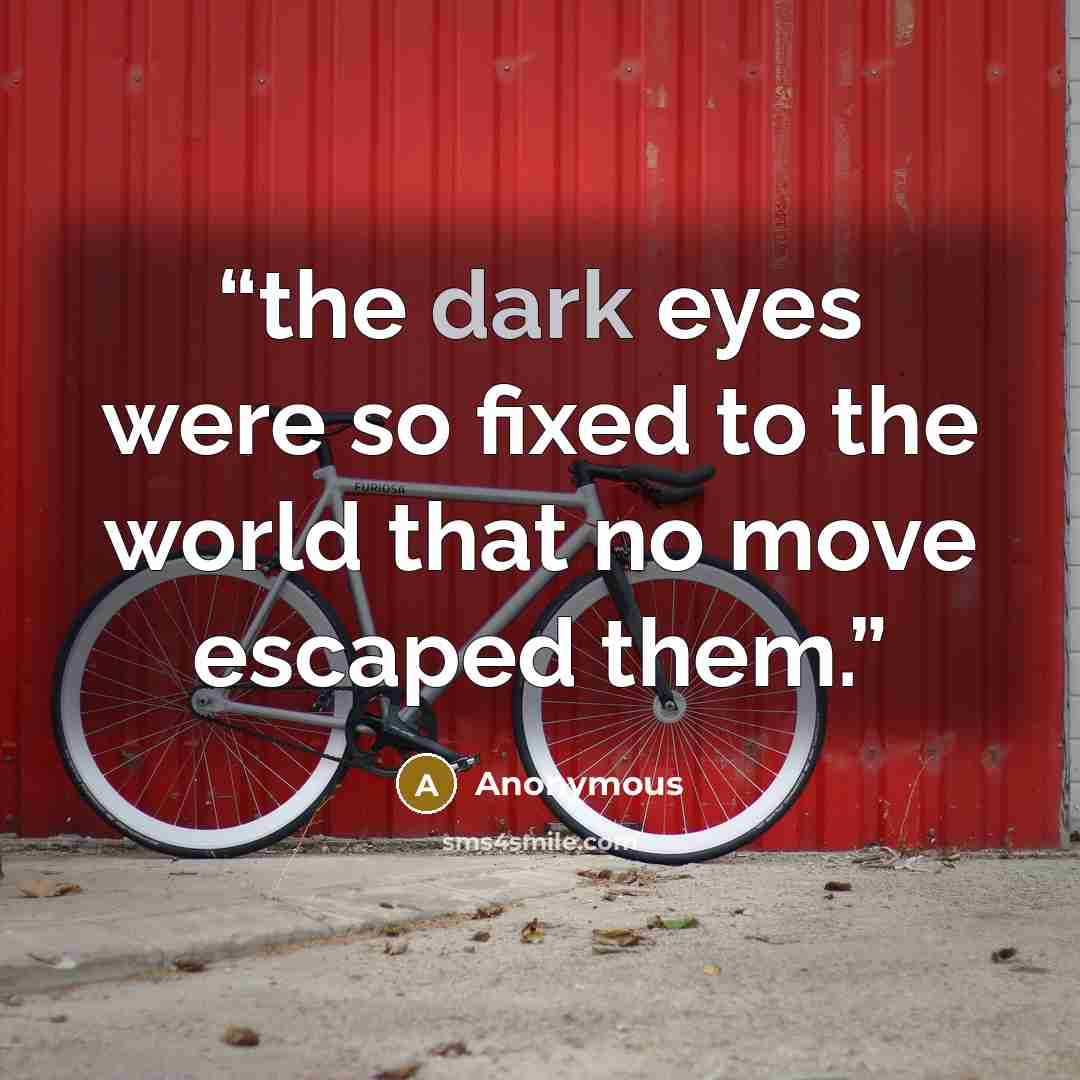 “the dark eyes were so fixed to the world that no move escaped them.” quote by Anonymous