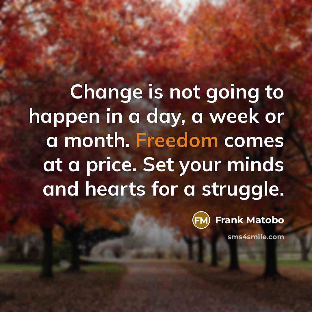 “Change is not going to happen in a day, a week or a month. Freedom comes at a price. Set your minds and hearts for a struggle.” quote by Frank Matobo