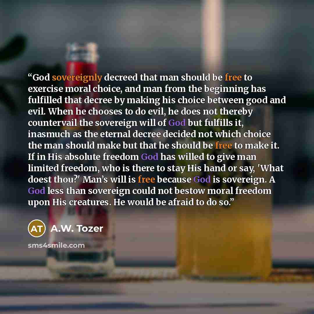 “God sovereignly decreed that man should be free to exercise moral choice, and man from the beginning has fulfilled that decree by making his choice between good and evil. When he chooses to do evil, he does not thereby countervail the sovereign will of God but fulfills it, inasmuch as the eternal…” quote by A.W. Tozer