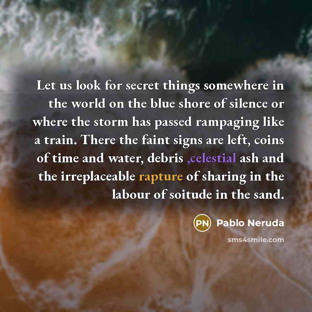 “Let us look for secret things somewhere in the world on the blue shore of silence or where the storm has passed rampaging like a train. There the faint signs are left, coins of time and water, debris ,celestial ash and the irreplaceable rapture of sharing in the labour of soitude in the sand.” quote by Pablo Neruda