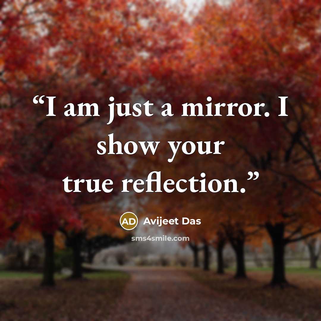 “I am just a mirror. I show your true reflection.” quote by Avijeet Das