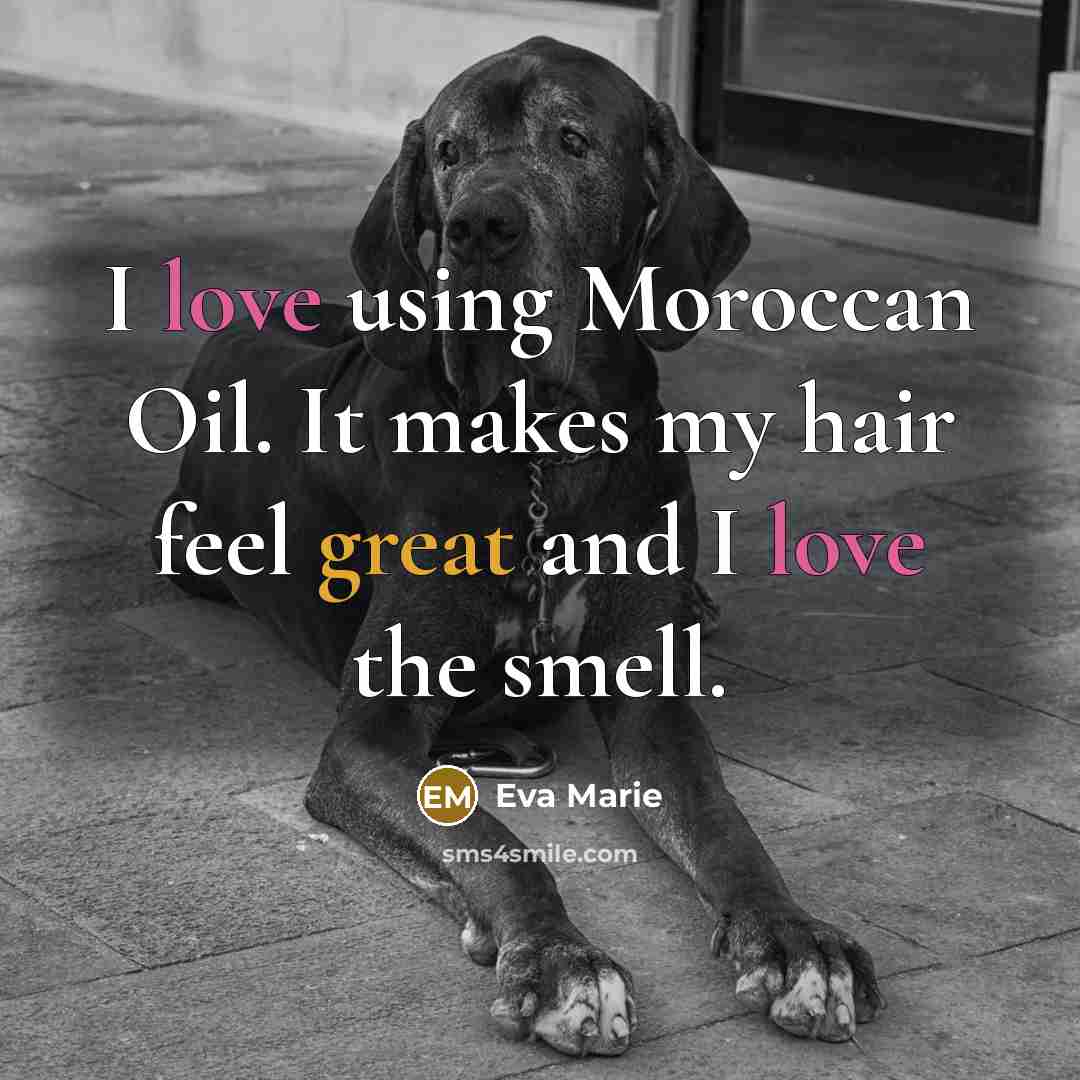 “I love using Moroccan Oil. It makes my hair feel great and I love the smell.” quote by Eva Marie