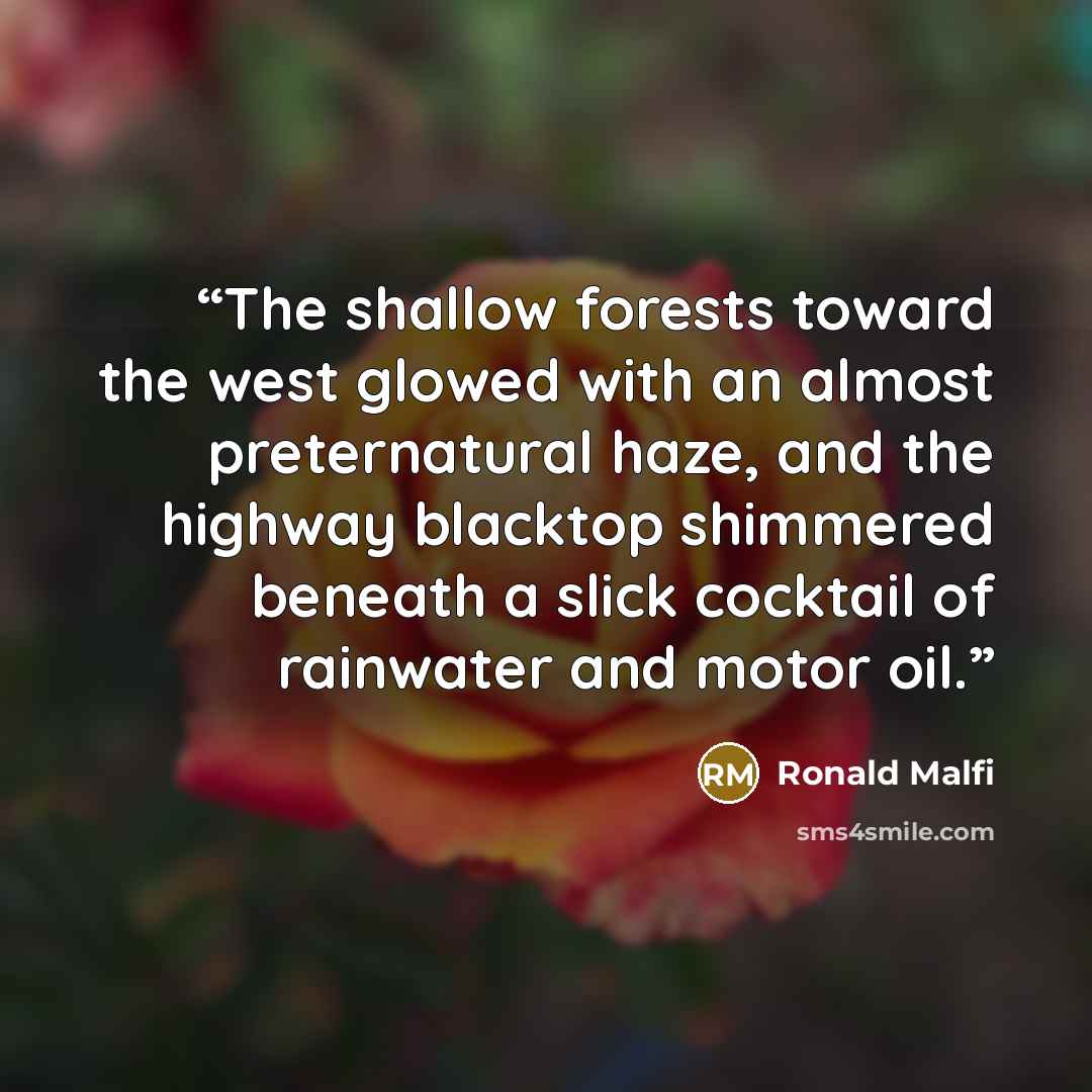 “The shallow forests toward the west glowed with an almost preternatural haze, and the highway blacktop shimmered beneath a slick cocktail of rainwater and motor oil.” quote by Ronald Malfi
