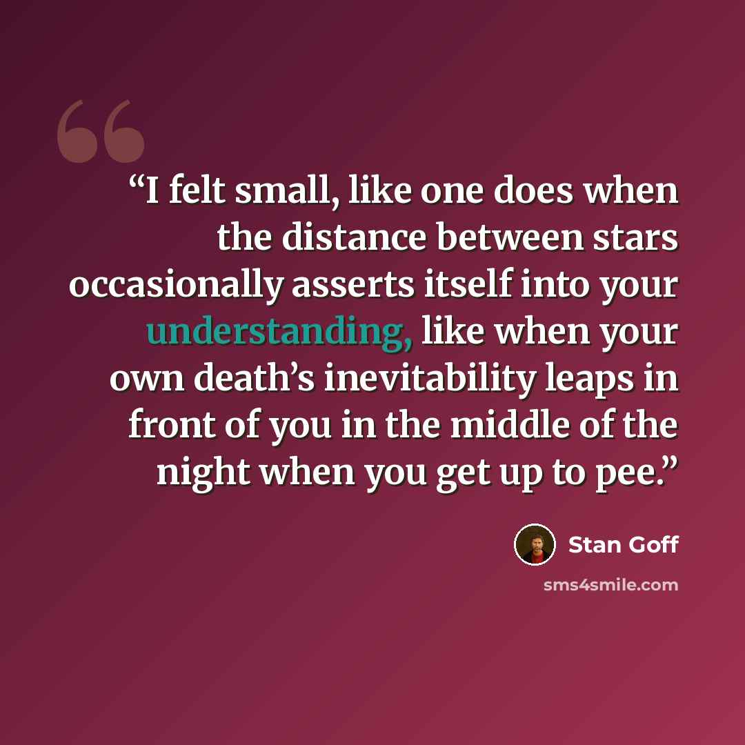 “I felt small, like one does when the distance between stars occasionally asserts itself into your understanding, like when your own death’s inevitability leaps in front of you in the middle of the night when you get up to pee.” quote by Stan Goff