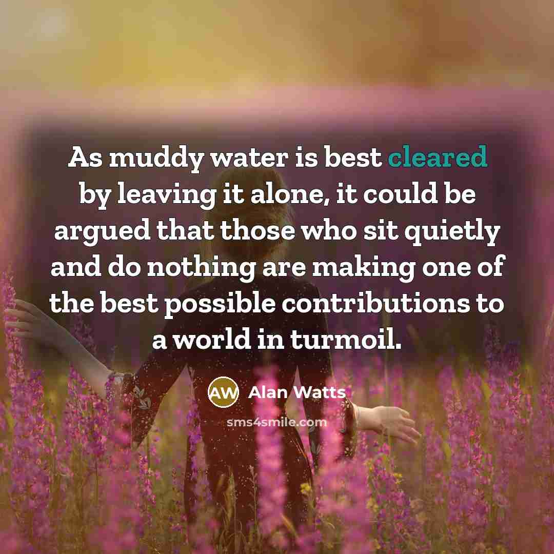 “As muddy water is best cleared by leaving it alone, it could be argued that those who sit quietly and do nothing are making one of the best possible contributions to a world in turmoil.” quote by Alan Watts