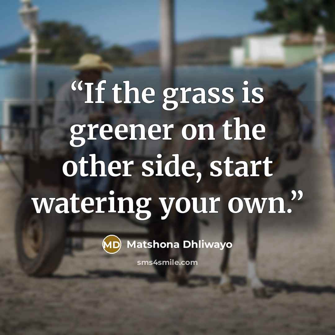 “If the grass is greener on the other side, start watering your own.” quote by Matshona Dhliwayo