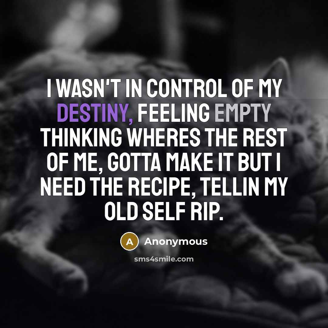 “I wasn't in control of my destiny, feeling empty thinking wheres the rest of me, gotta make it but I need the recipe, tellin my old self RIP.” quote by Anonymous