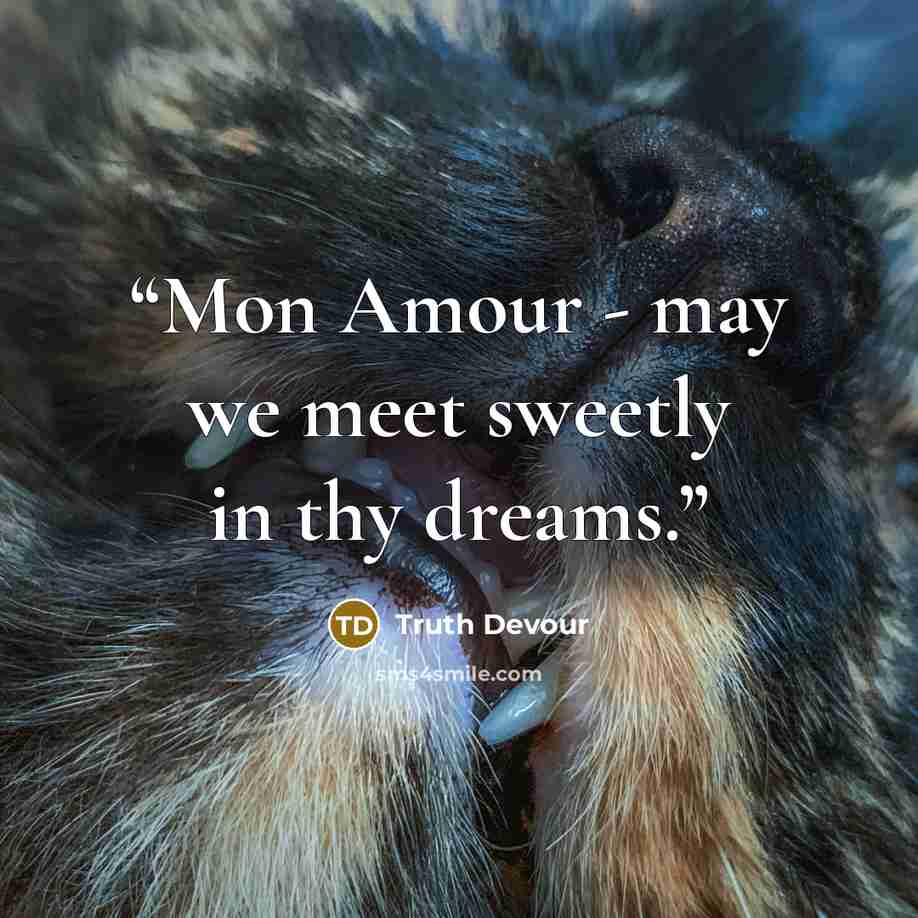 “Mon Amour - may we meet sweetly in thy dreams.” quote by Truth Devour