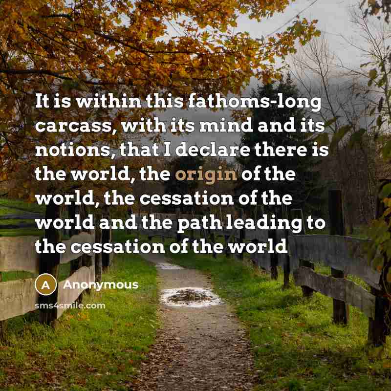 “It is within this fathoms-long carcass, with its mind and its notions, that I declare there is the world, the origin of the world, the cessation of the world and the path leading to the cessation of the world” quote by Anonymous