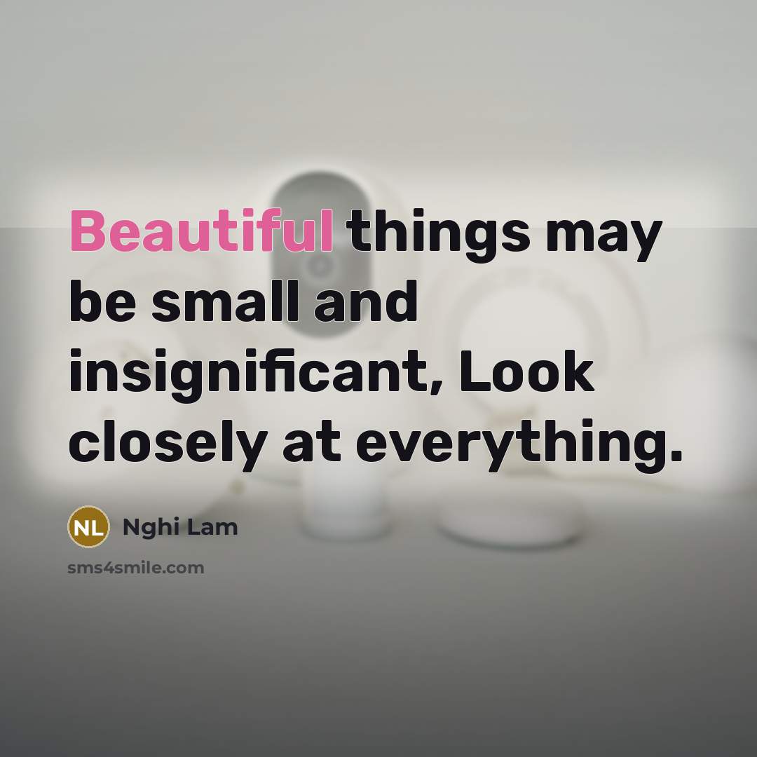“Beautiful things may be small and insignificant, Look closely at everything.” quote by Nghi Lam