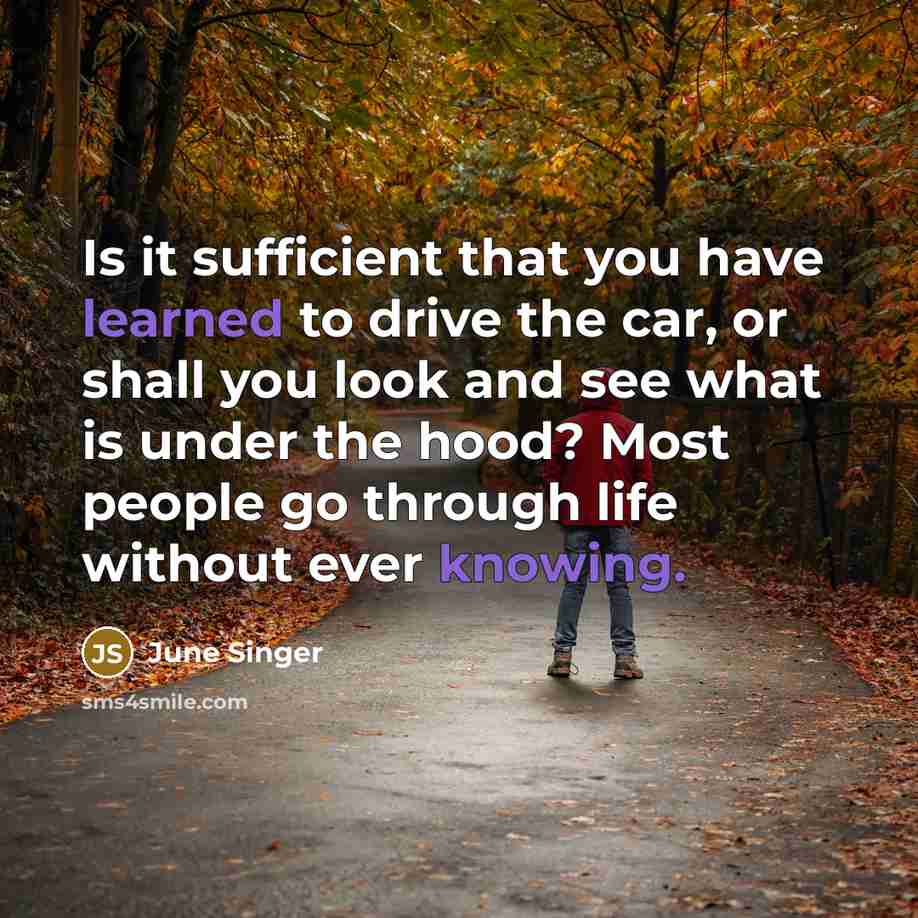 “Is it sufficient that you have learned to drive the car, or shall you look and see what is under the hood? Most people go through life without ever knowing.” quote by June Singer