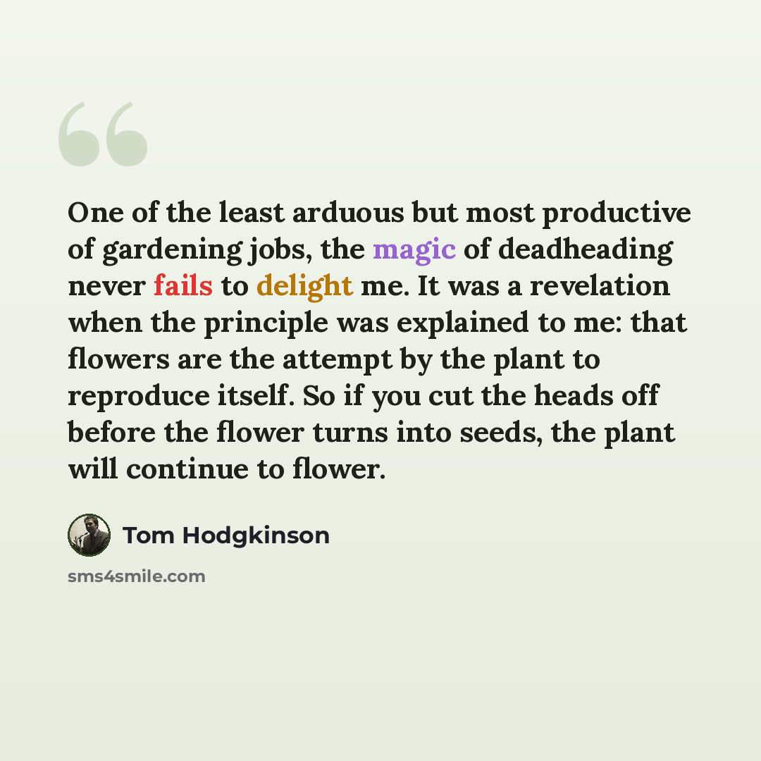 “One of the least arduous but most productive of gardening jobs, the magic of deadheading never fails to delight me. It was a revelation when the principle was explained to me: that flowers are the attempt by the plant to reproduce itself. So if you cut the heads off before the flower turns into…” quote by Tom Hodgkinson
