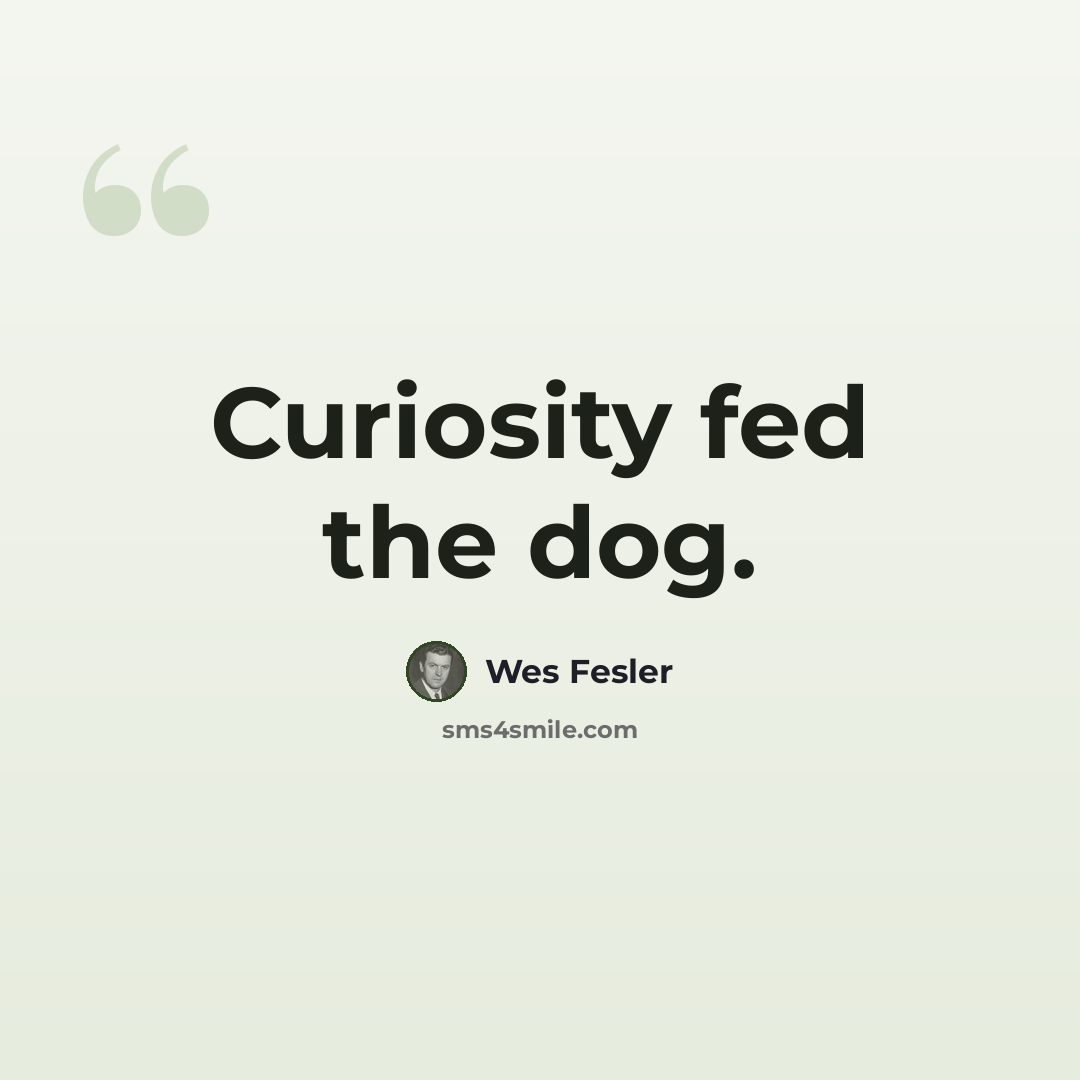 “Curiosity fed the dog.” quote by Wes Fesler