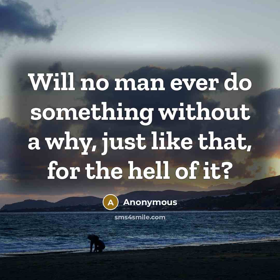 “Will no man ever do something without a why, just like that, for the hell of it?” quote by Anonymous