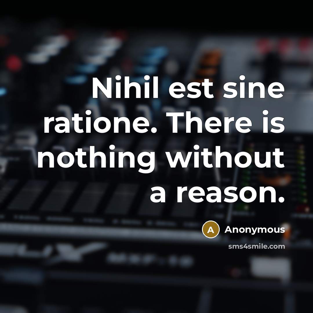 “Nihil est sine ratione. There is nothing without a reason.” quote by Anonymous