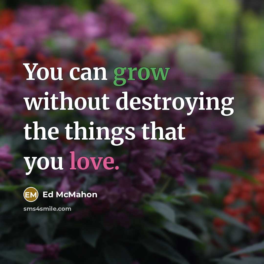 “You can grow without destroying the things that you love.” quote by Ed McMahon
