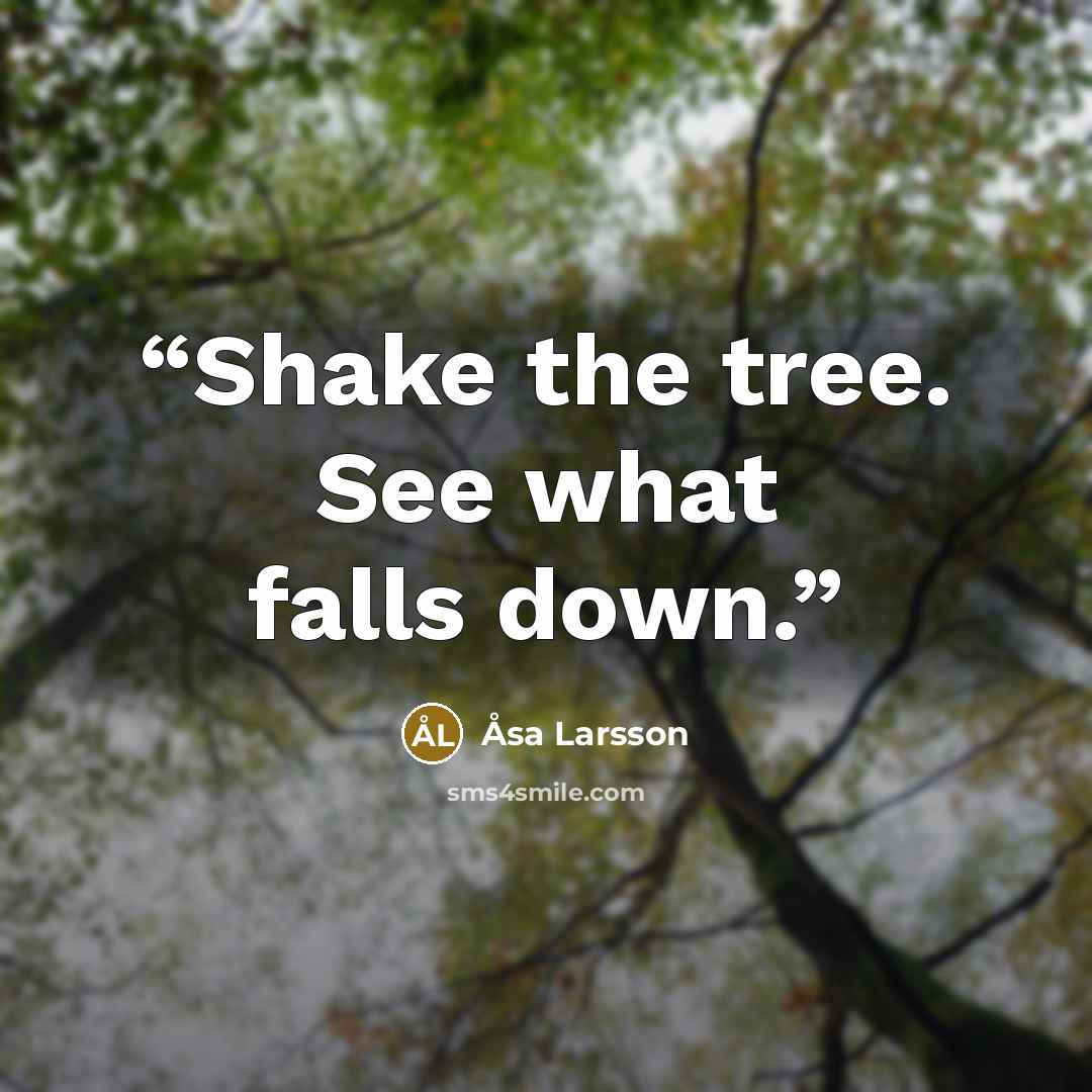 “Shake the tree. See what falls down.” quote by Åsa Larsson