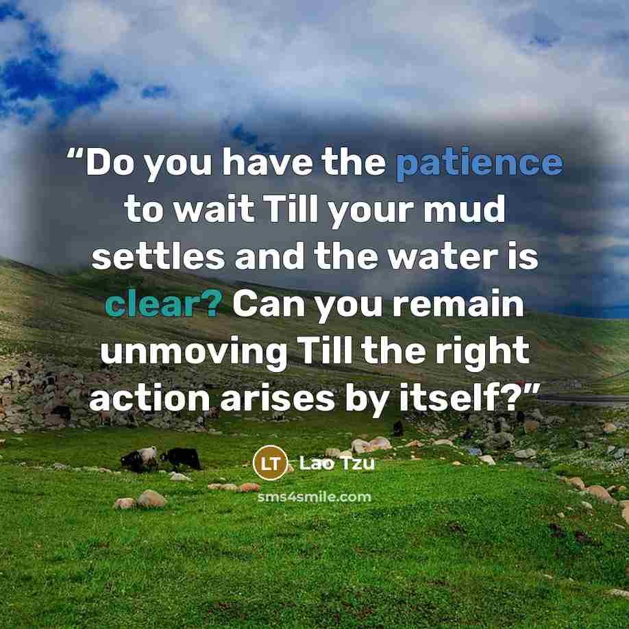 “Do you have the patience to wait Till your mud settles and the water is clear? Can you remain unmoving Till the right action arises by itself?” quote by Lao tzu