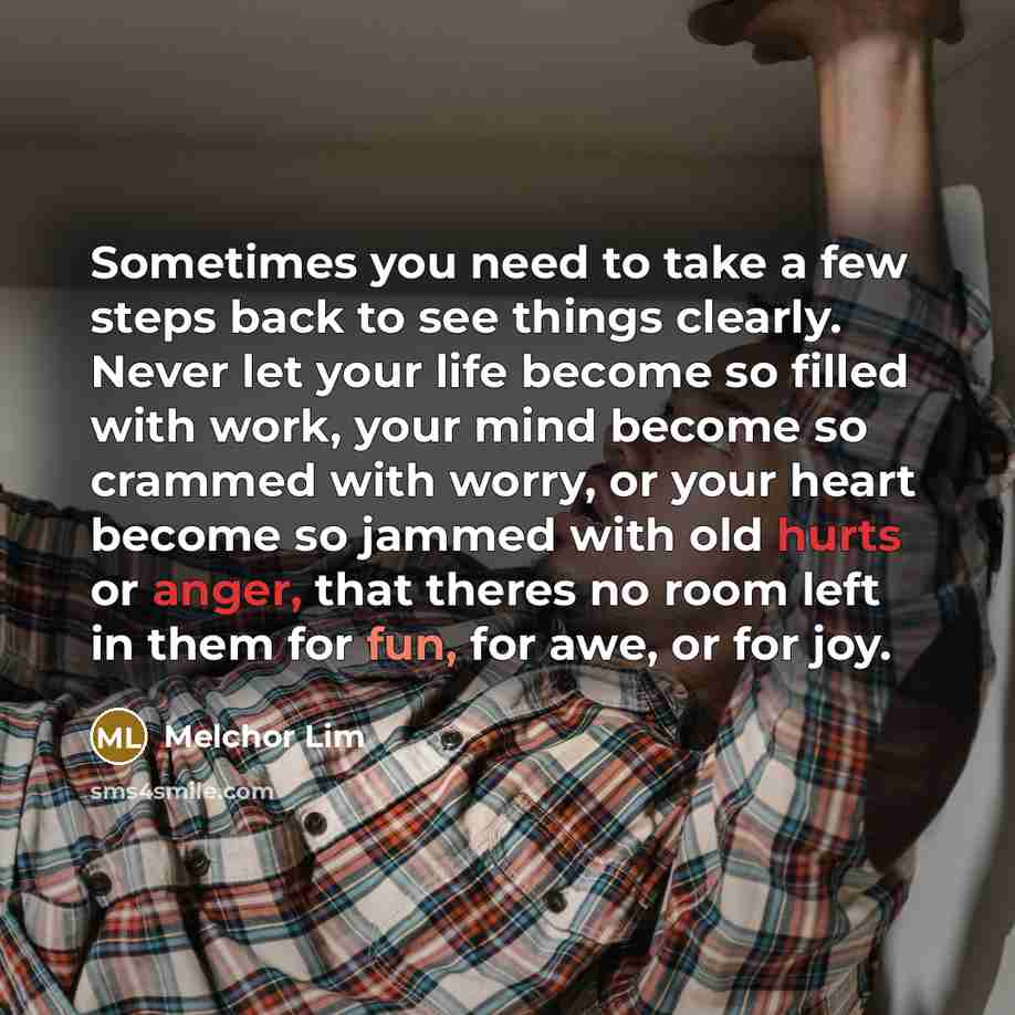 “Sometimes you need to take a few steps back to see things clearly. Never let your life become so filled with work, your mind become so crammed with worry, or your heart become so jammed with old hurts or anger, that theres no room left in them for fun, for awe, or for joy.” quote by Melchor Lim