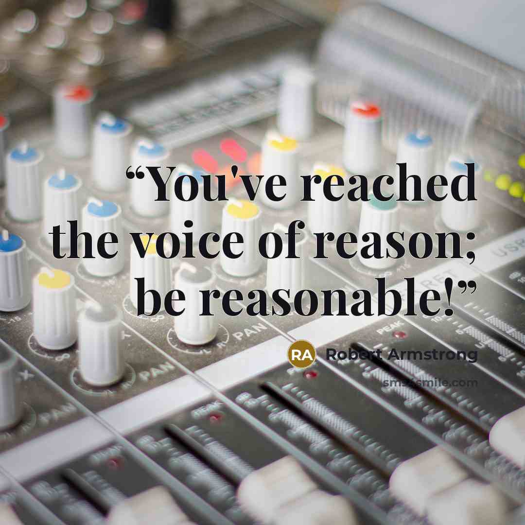 “You've reached the voice of reason; be reasonable!” quote by Robert Armstrong