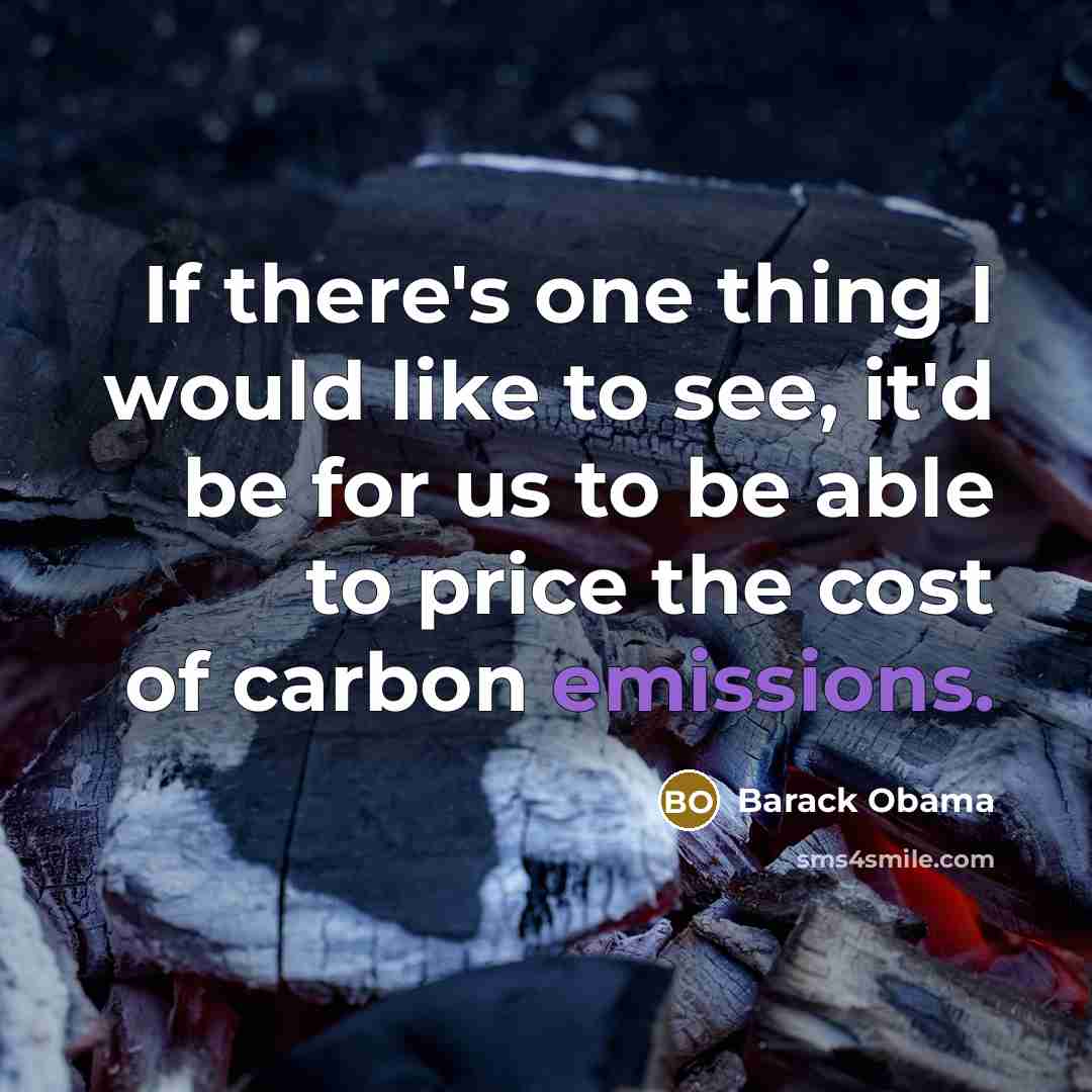 “If there's one thing I would like to see, it'd be for us to be able to price the cost of carbon emissions.” quote by Barack Obama