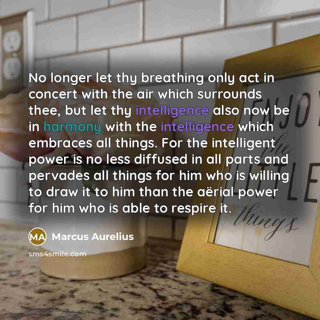 “No longer let thy breathing only act in concert with the air which surrounds thee, but let thy intelligence also now be in harmony with the intelligence which embraces all things. For the intelligent power is no less diffused in all parts and pervades all things for him who is willing to draw it…” quote by Marcus Aurelius