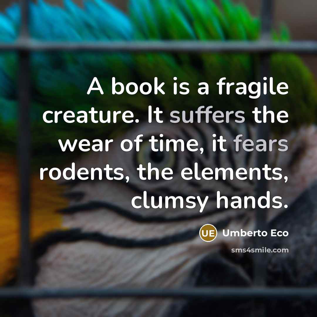 “A book is a fragile creature. It suffers the wear of time, it fears rodents, the elements, clumsy hands.” quote by Umberto Eco