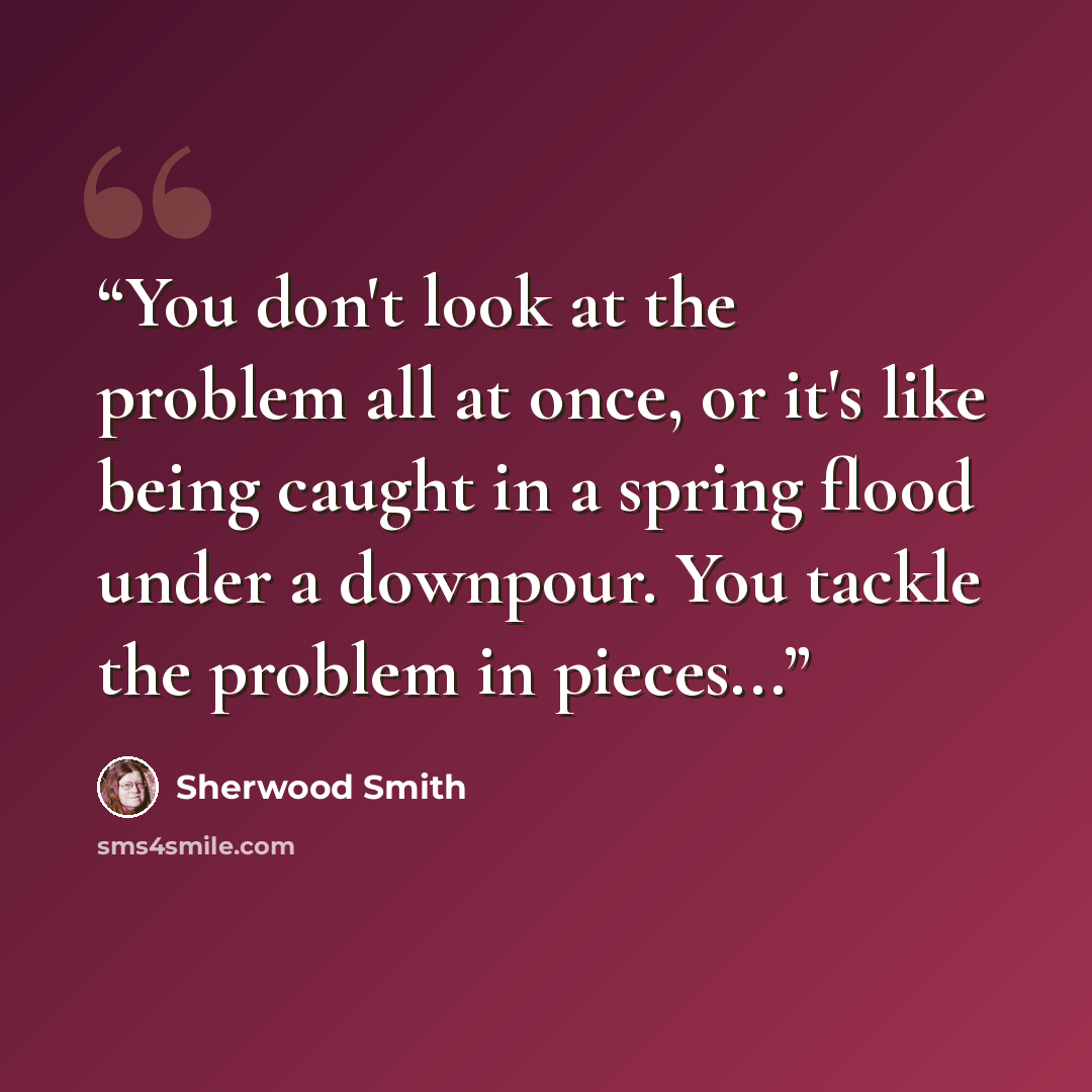 “You don't look at the problem all at once, or it's like being caught in a spring flood under a downpour. You tackle the problem in pieces...” quote by Sherwood Smith