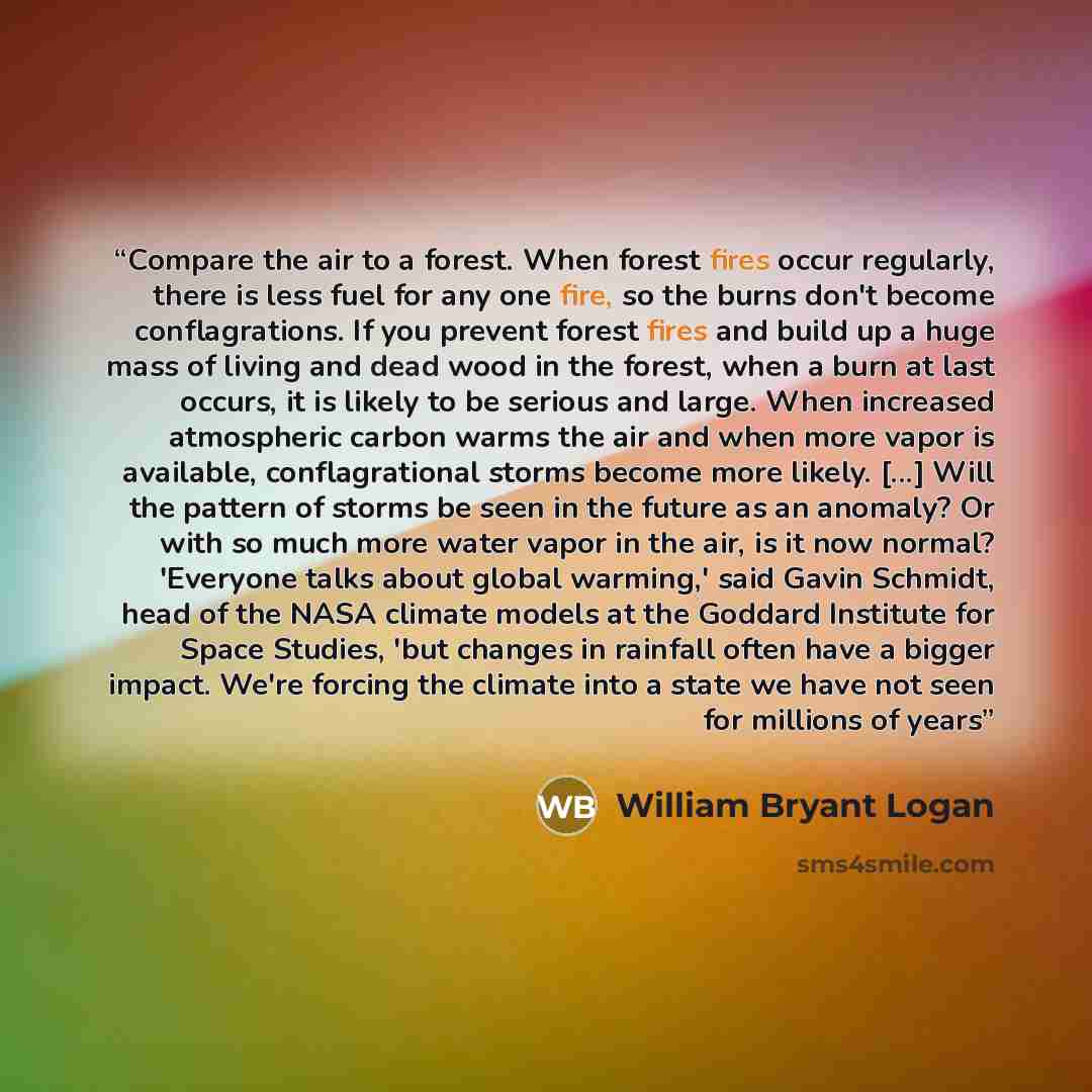 “Compare the air to a forest. When forest fires occur regularly, there is less fuel for any one fire, so the burns don't become conflagrations. If you prevent forest fires and build up a huge mass of living and dead wood in the forest, when a burn at last occurs, it is likely to be serious and…” quote by William Bryant Logan