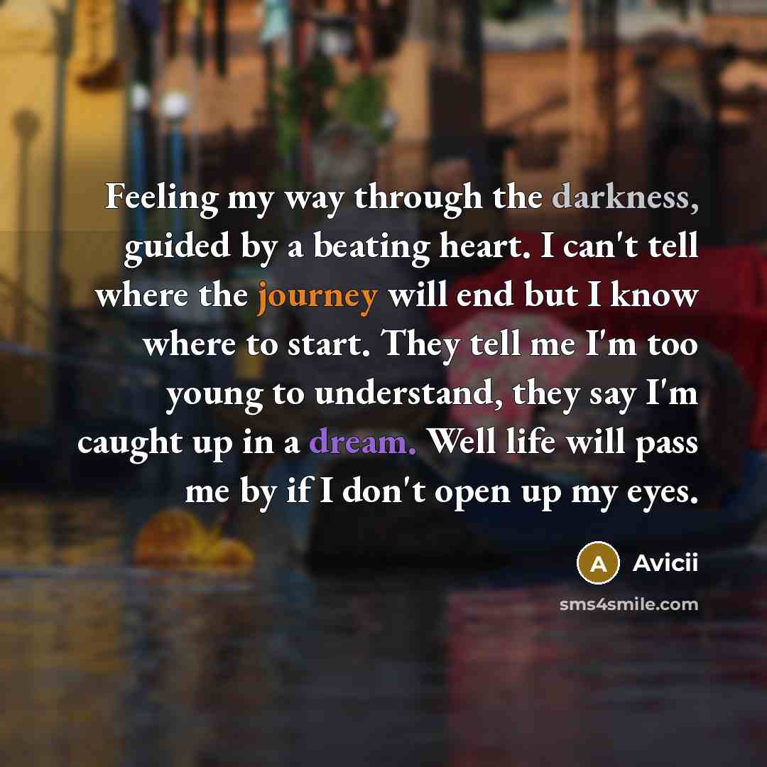 “Feeling my way through the darkness, guided by a beating heart. I can't tell where the journey will end but I know where to start. They tell me I'm too young to understand, they say I'm caught up in a dream. Well life will pass me by if I don't open up my eyes.” quote by Avicii