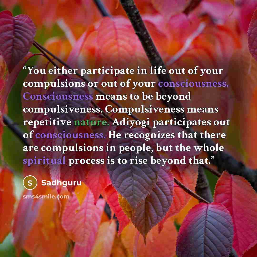 “You either participate in life out of your compulsions or out of your consciousness. Consciousness means to be beyond compulsiveness. Compulsiveness means repetitive nature. Adiyogi participates out of consciousness. He recognizes that there are compulsions in people, but the whole spiritual…” quote by Sadhguru