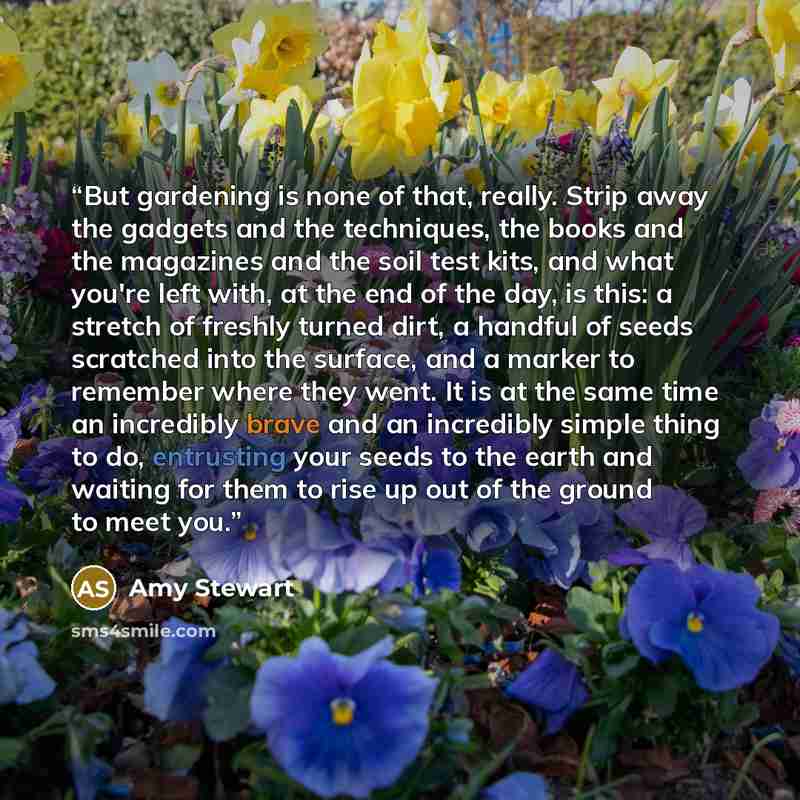 “But gardening is none of that, really. Strip away the gadgets and the techniques, the books and the magazines and the soil test kits, and what you're left with, at the end of the day, is this: a stretch of freshly turned dirt, a handful of seeds scratched into the surface, and a marker to remember…” quote by Amy Stewart