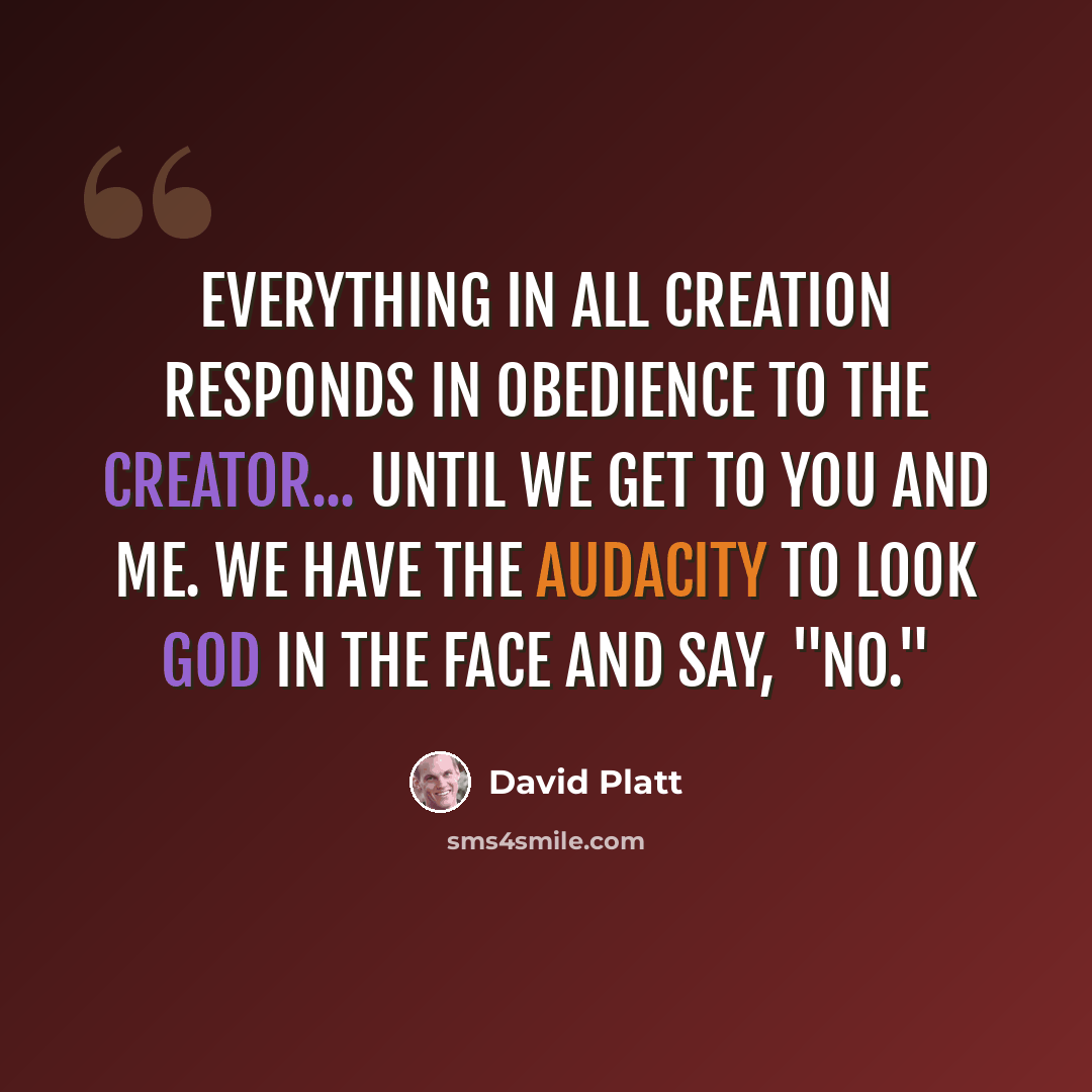“Everything in all creation responds in obedience to the Creator... until we get to you and me. We have the audacity to look God in the face and say, "No."” quote by David Platt