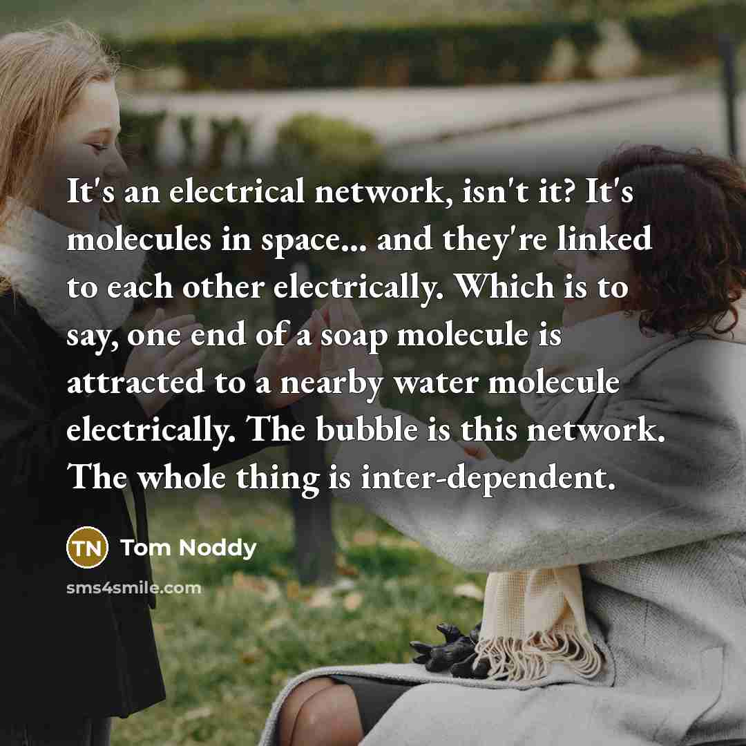 “It's an electrical network, isn't it? It's molecules in space... and they're linked to each other electrically. Which is to say, one end of a soap molecule is attracted to a nearby water molecule electrically. The bubble is this network. The whole thing is inter-dependent.” quote by Tom Noddy