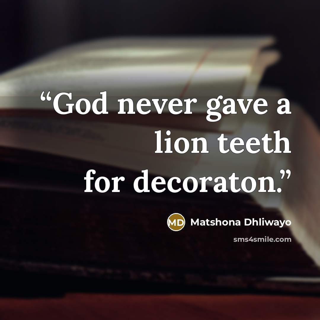 “God never gave a lion teeth for decoraton.” quote by Matshona Dhliwayo