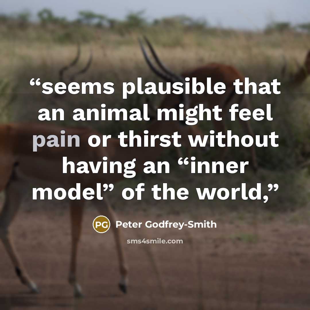 “seems plausible that an animal might feel pain or thirst without having an “inner model” of the world,” quote by Peter Godfrey-Smith