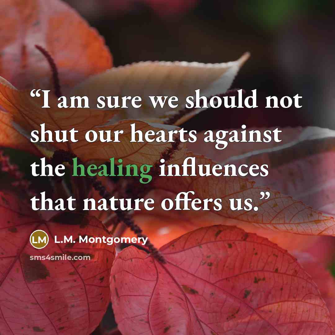 “I am sure we should not shut our hearts against the healing influences that nature offers us.” quote by L.M. Montgomery