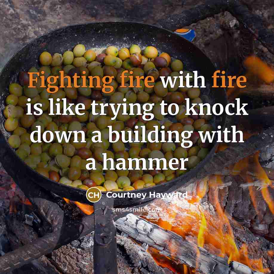 “Fighting fire with fire is like trying to knock down a building with a hammer” quote by Courtney Hayward