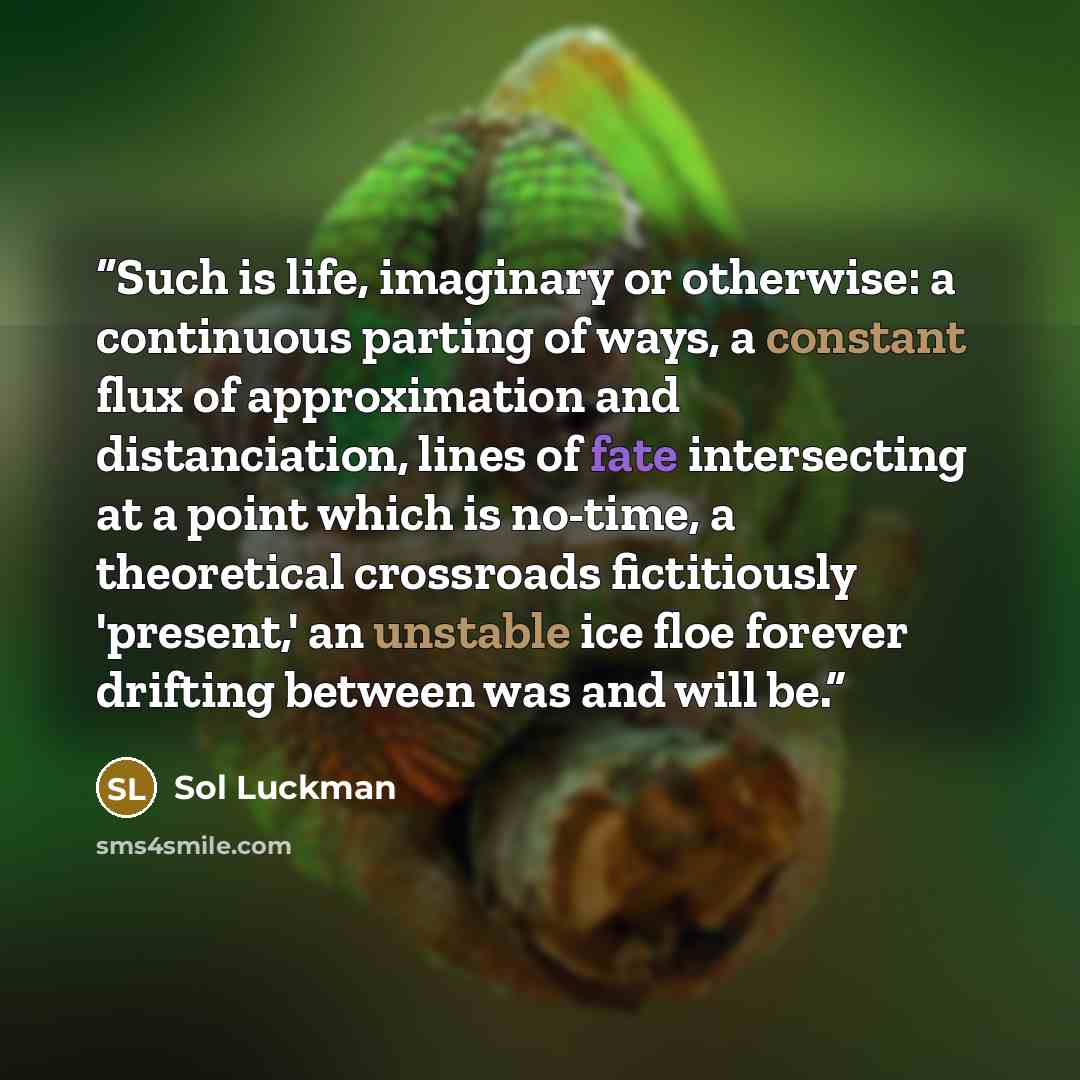 “Such is life, imaginary or otherwise: a continuous parting of ways, a constant flux of approximation and distanciation, lines of fate intersecting at a point which is no-time, a theoretical crossroads fictitiously 'present,' an unstable ice floe forever drifting between was and will be.” quote by Sol Luckman