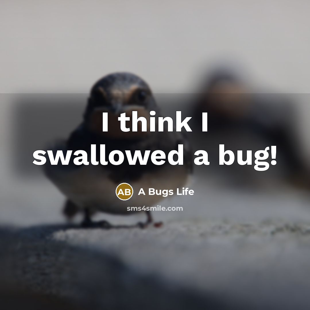 “I think I swallowed a bug!” quote by A Bugs Life