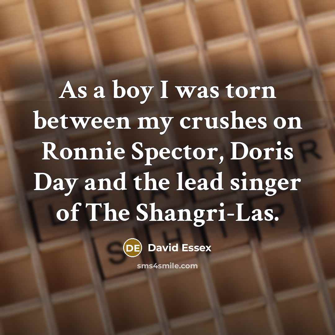 “As a boy I was torn between my crushes on Ronnie Spector, Doris Day and the lead singer of The Shangri-Las.” quote by David Essex