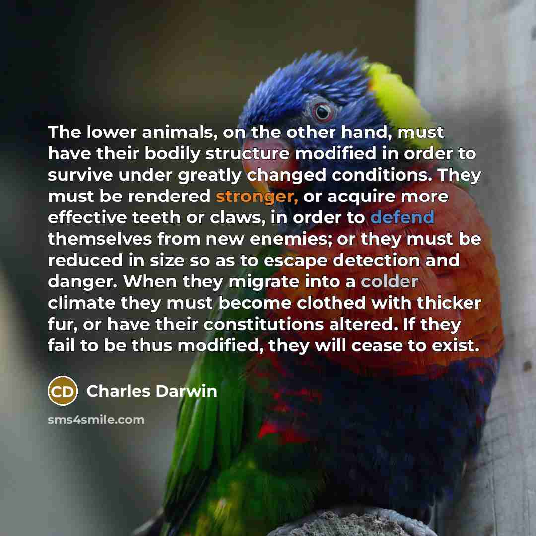 “The lower animals, on the other hand, must have their bodily structure modified in order to survive under greatly changed conditions. They must be rendered stronger, or acquire more effective teeth or claws, in order to defend themselves from new enemies; or they must be reduced in size so as to…” quote by Charles Darwin