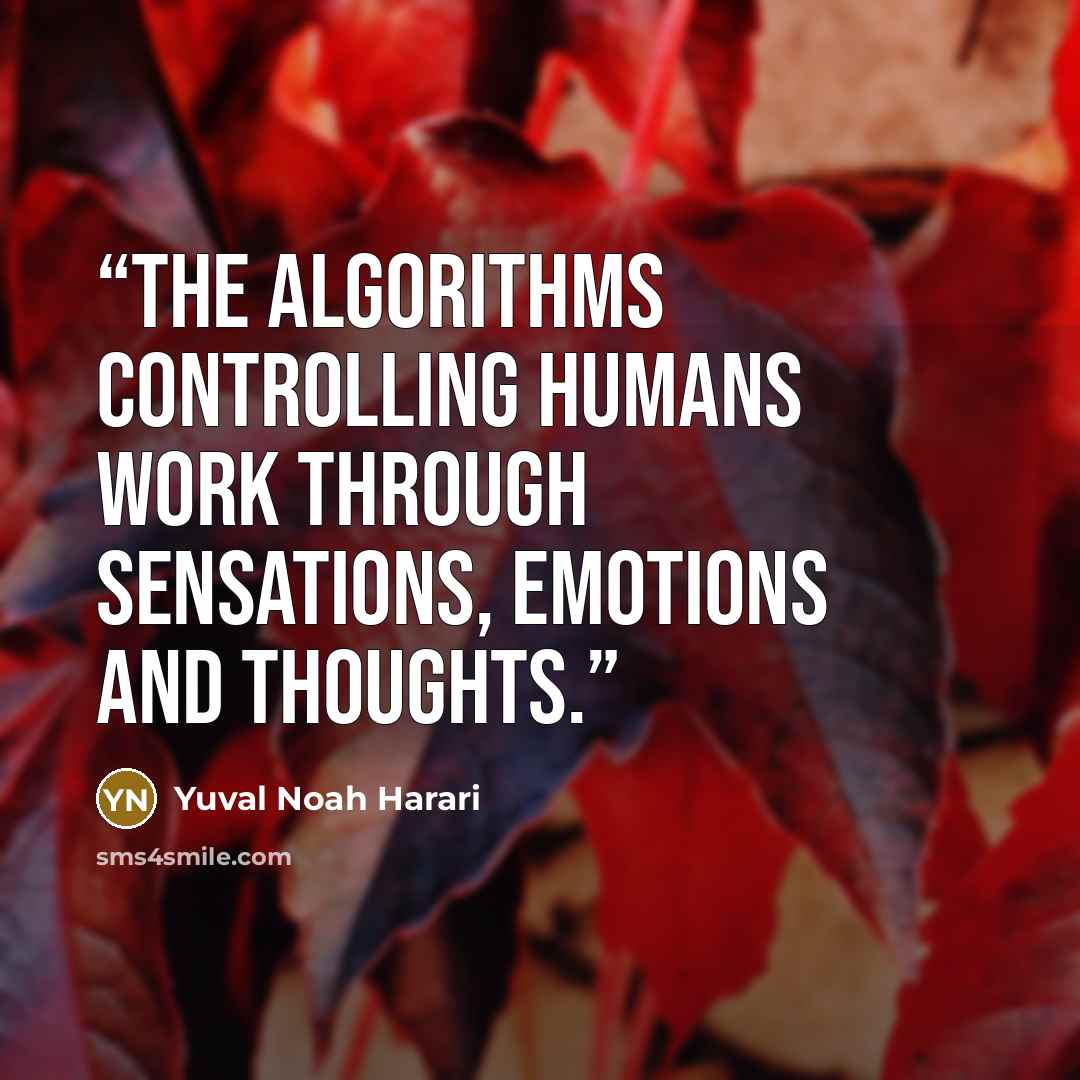 “The algorithms controlling humans work through sensations, emotions and thoughts.” quote by Yuval Noah Harari