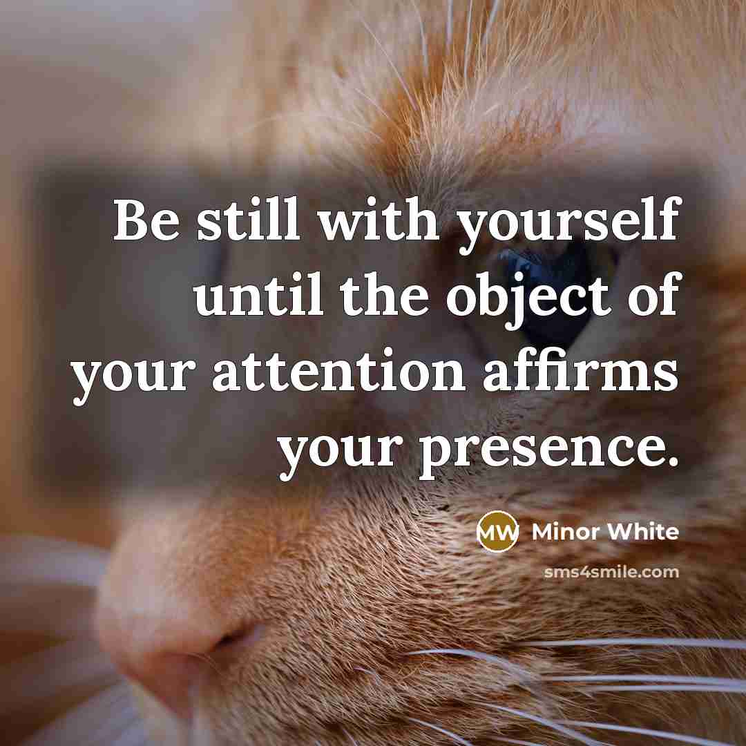 “Be still with yourself until the object of your attention affirms your presence.” quote by Minor White