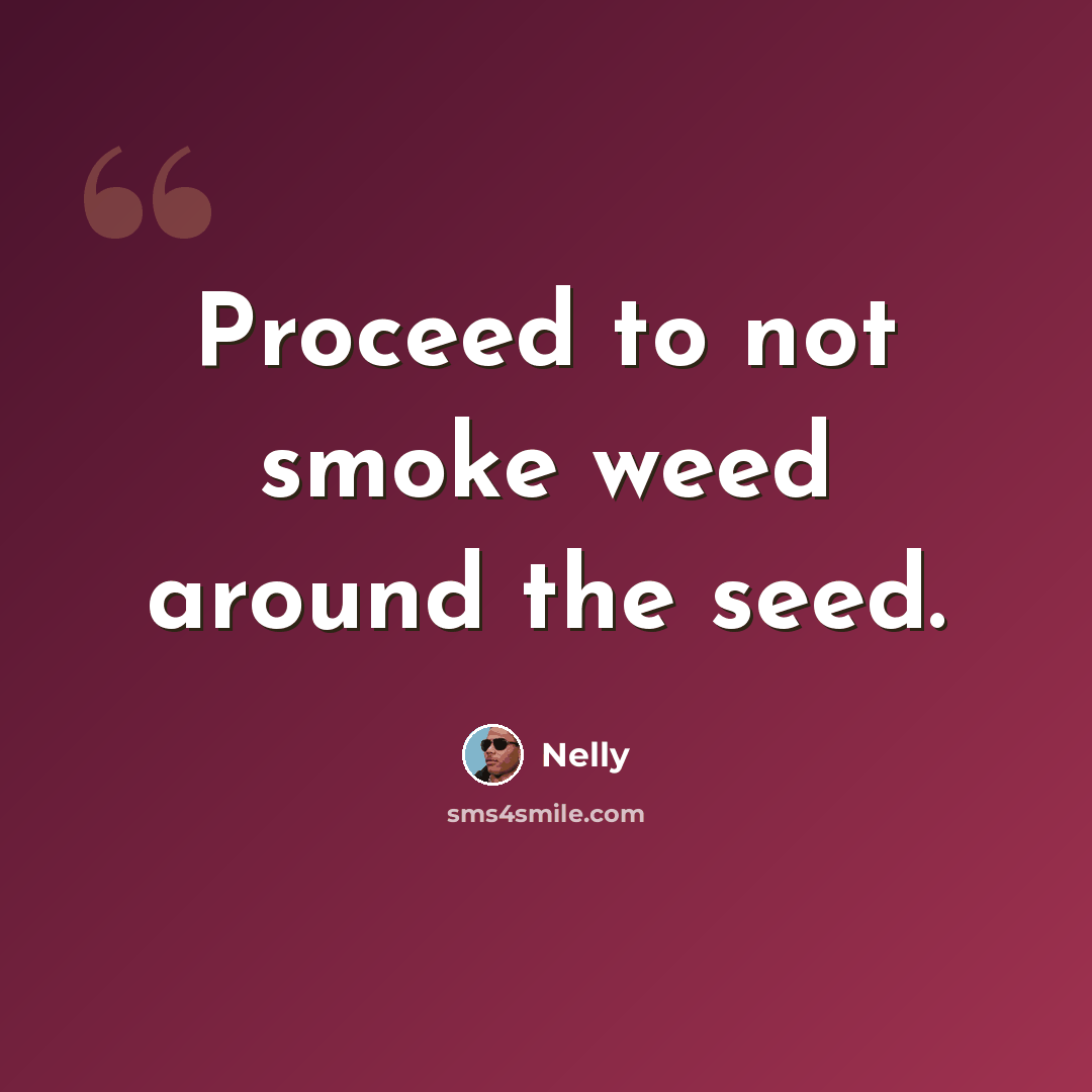 “Proceed to not smoke weed around the seed.” quote by Nelly