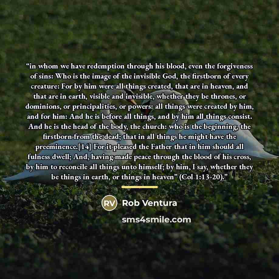 “in whom we have redemption through his blood, even the forgiveness of sins: Who is the image of the invisible God, the firstborn of every creature: For by him were all things created, that are in heaven, and that are in earth, visible and invisible, whether they be thrones, or dominions, or…” quote by Rob Ventura